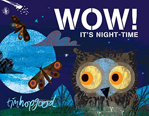 Imagen de archivo de WOW! It's Night-time a la venta por ThriftBooks-Dallas