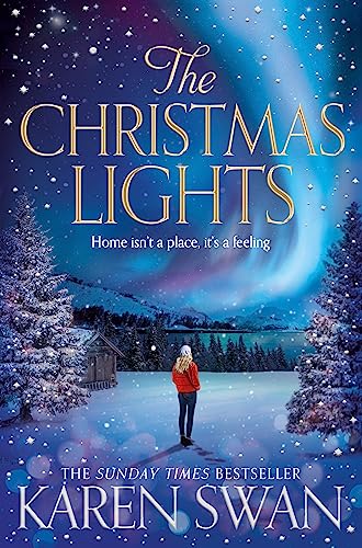 Beispielbild fr The Christmas Lights zum Verkauf von More Than Words