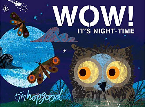 Stock image for WOW! It's Night-time: A First Book of Animals for sale by WorldofBooks