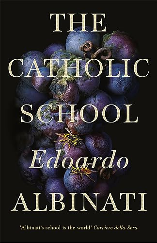 Stock image for The Catholic School for sale by AwesomeBooks