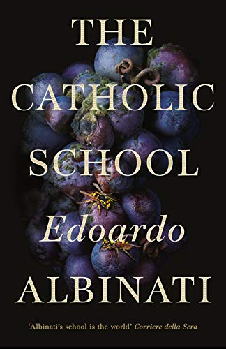 Stock image for The Catholic School for sale by Blackwell's