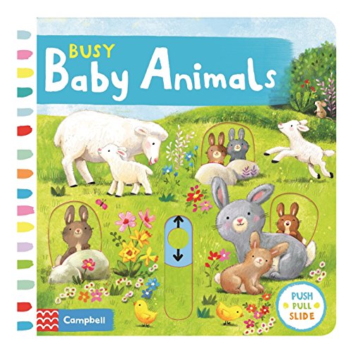 Beispielbild fr Busy Baby Animals (Busy Books) zum Verkauf von AwesomeBooks