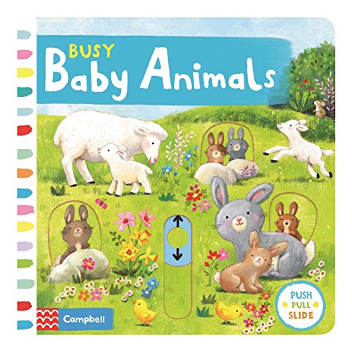 9781509869480: Busy Baby Animals (Campbell Busy Books)