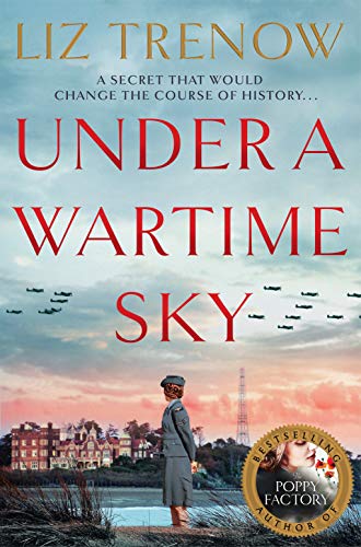 Beispielbild fr Under a Wartime Sky zum Verkauf von AwesomeBooks