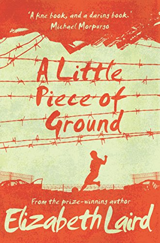 9781509887637: A Little Piece of Ground: 15th Anniversary Edition