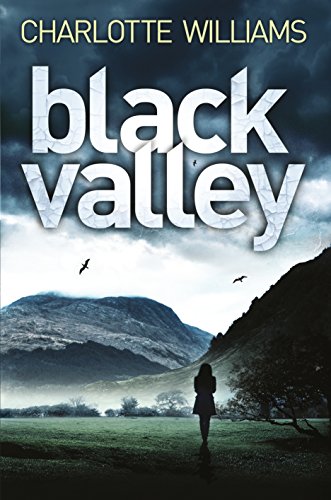 9781509891603: Black Valley