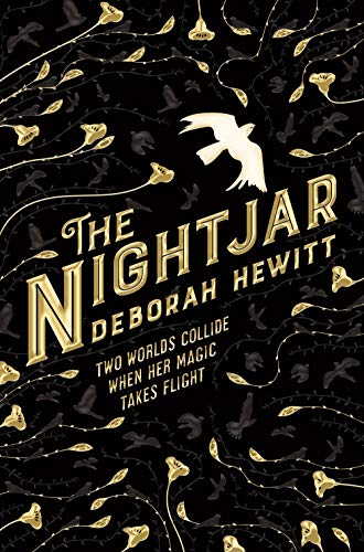 Stock image for The Nightjar for sale by Blackwell's