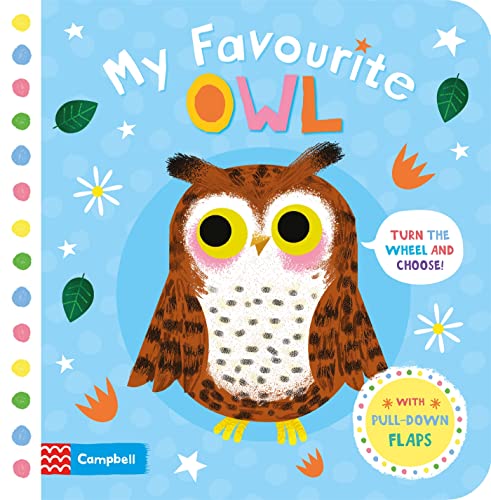9781509898053: My Favourite Owl