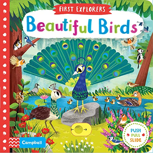 9781509898336: Beautiful Birds (Campbell First Explorers, 11)
