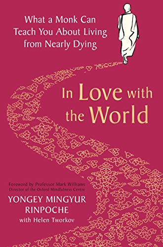 Imagen de archivo de In Love with the World: What a Monk Can Teach You About Living from Nearly Dying a la venta por WorldofBooks