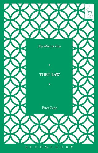 Stock image for Key Ideas in Tort Law (Key Ideas in Law) for sale by MusicMagpie