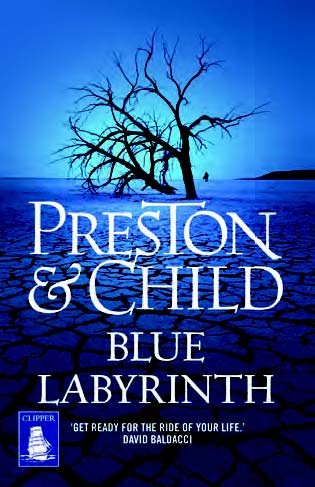Stock image for Blue Labyrinth (Large Print Edition) for sale by WorldofBooks