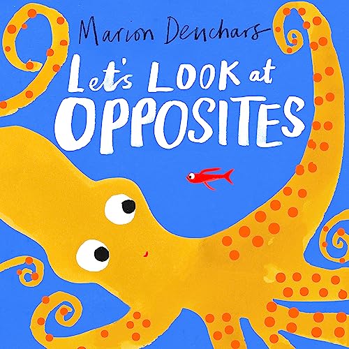 9781510230002: Let's Look at... Opposites: Board Book