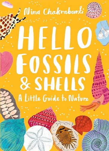 Beispielbild fr Little Guides to Nature: Hello Fossils and Shells zum Verkauf von Kennys Bookstore