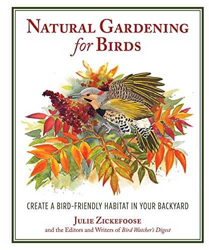 Beispielbild fr Natural Gardening for Birds : Create a Bird-Friendly Habitat in Your Backyard zum Verkauf von Better World Books