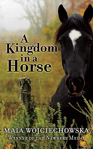 9781510703834: A Kingdom in a Horse