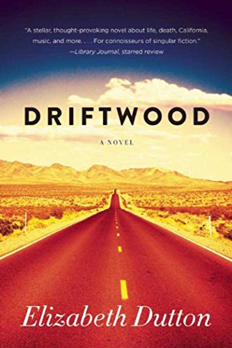 Stock image for Driftwood : A Novel for sale by Better World Books: West