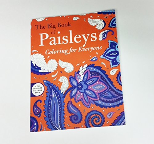 Imagen de archivo de Big Book of Paisleys a la venta por HPB-Emerald