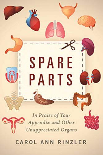 Imagen de archivo de Spare Parts : In Praise of Your Appendix and Other Unappreciated Organs a la venta por Better World Books