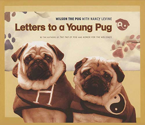 Stock image for Letters to a Young Pug (Tao of Pug) for sale by Book Outpost