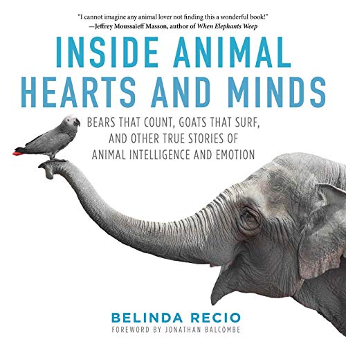 Beispielbild fr Inside Animal Hearts and Minds : Bears That Count, Goats That Surf, and Other True Stories of Animal Intelligence and Emotion zum Verkauf von Better World Books