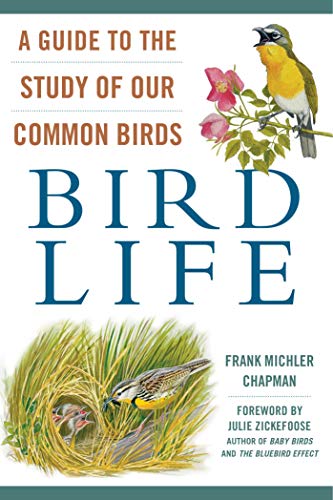 Imagen de archivo de Bird Life : A Guide to the Study of Our Common Birds a la venta por Better World Books