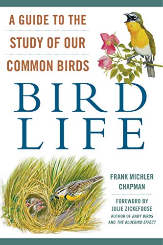 9781510724488: Bird Life: A Guide to the Study of Our Common Birds