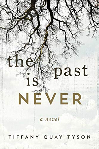 Stock image for The Past Is Never: A Novel for sale by ZBK Books