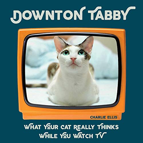 Beispielbild fr Downton Tabby: What Your Cat Really Thinks While You Watch TV zum Verkauf von Wonder Book