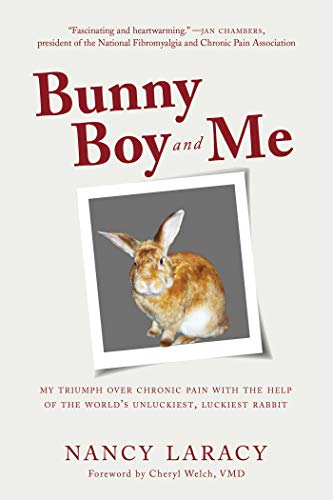 Imagen de archivo de Bunny Boy and Me: My Triumph over Chronic Pain with the Help of the World's Unluckiest, Luckiest Rabbit a la venta por Arroway Books