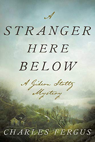 Stock image for A Stranger Here Below: A Gideon Stoltz Mystery for sale by ThriftBooks-Dallas