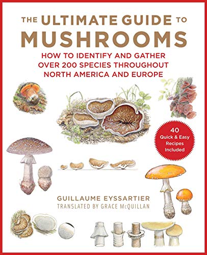 Beispielbild fr The Ultimate Guide to Mushrooms : How to Identify and Gather over 200 Species Throughout North America and Europe zum Verkauf von Better World Books