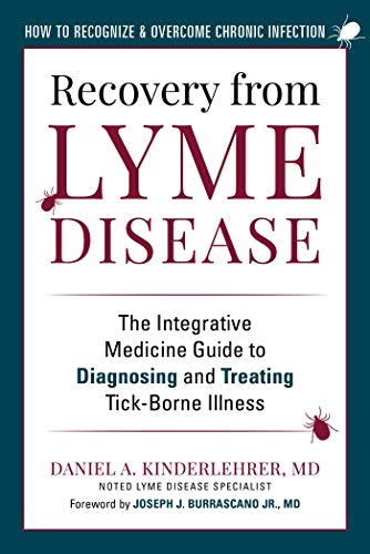 9781510762053: Recovery from Lyme Disease: The Integrative Medicine Guide to Diagnosing and Treating Tick-borne Illness