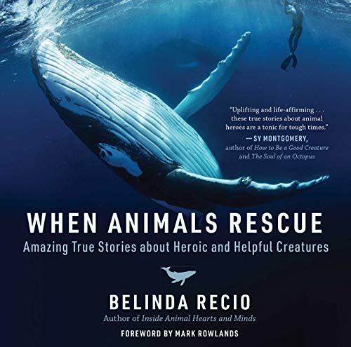 Imagen de archivo de When Animals Rescue: Amazing True Stories about Heroic and Helpful Creatures a la venta por Goodwill Books