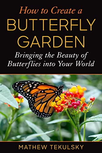 Beispielbild fr How to Create a Butterfly Garden zum Verkauf von Blackwell's