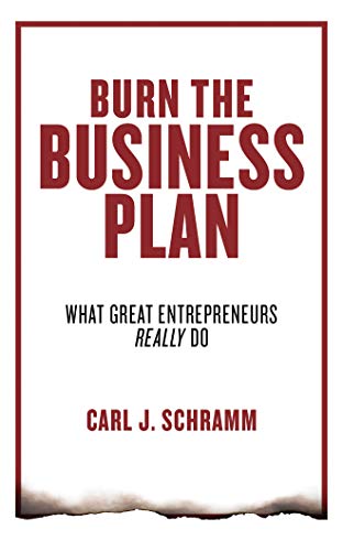Stock image for Burn the Business Plan: What Great Entrepreneurs Really Do for sale by SecondSale