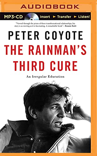 9781511316972: The Rainman's Third Cure: An Irregular Education