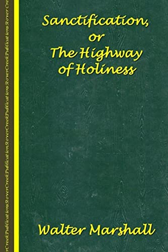 Stock image for Sanctification; The Highway of Holiness for sale by Once Upon A Time Books
