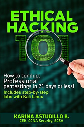 9781511610179: Ethical Hacking 101: How to conduct professional pentestings in 21 days or less!: Volume 1 (How to hack)