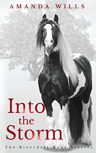 Stock image for Into the Storm: 3 (The Riverdale Pony Stories) for sale by WorldofBooks