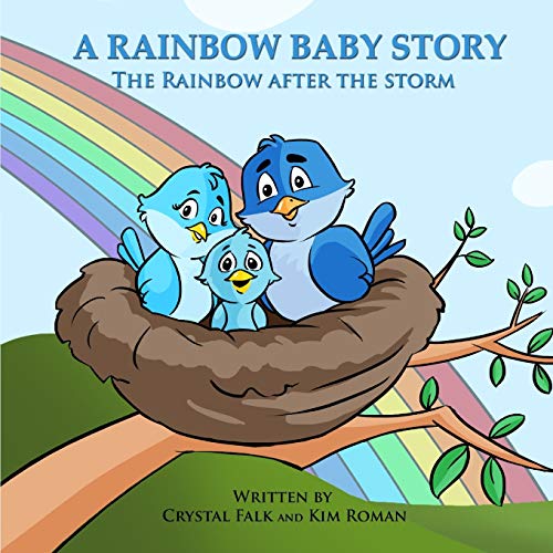 Imagen de archivo de A Rainbow Baby Story: The Rainbow After the Storm (Explain It To Me!) a la venta por Goodwill of Colorado