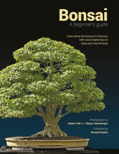 9781511728355: Bonsai: a beginners guide