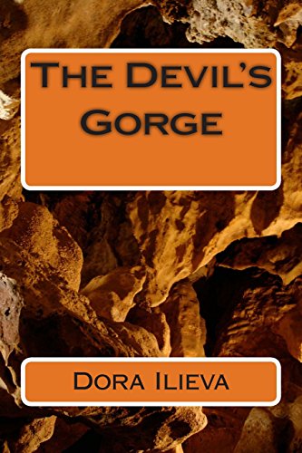 Beispielbild fr The Devil's Gorge zum Verkauf von Revaluation Books