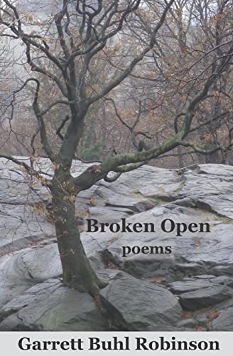 Stock image for Broken Open for sale by Half Price Books Inc.