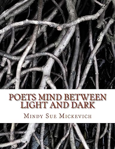 Imagen de archivo de Poets mind between light and dark a la venta por THE SAINT BOOKSTORE