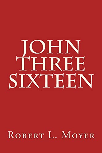 Stock image for John Three Sixteen for sale by SecondSale