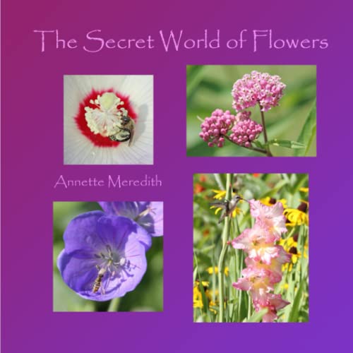 Stock image for The Secret World of Flowers for sale by Revaluation Books