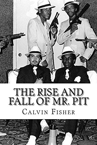 9781511998833: The rise and fall of Mr. Pit