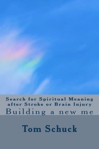 Stock image for Search for Spiritual Meaning after Stroke & Brain Injury: Building a new me for sale by HPB-Emerald