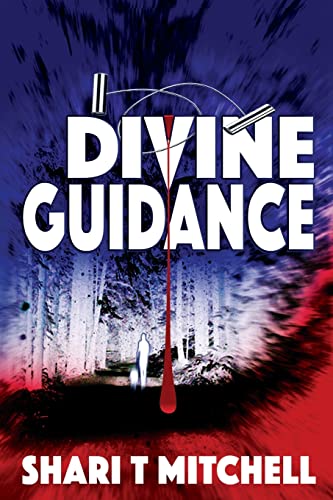 9781512068061: Divine Guidance (Marnie Reilly Mysteries)